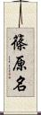 篠原名 Scroll