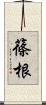 篠根 Scroll