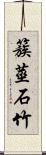 簇莖石竹 Scroll