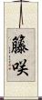 籐咲 Scroll