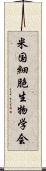 米国細胞生物学会 Scroll