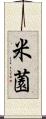 米薗 Scroll