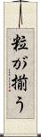 粒が揃う Scroll