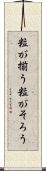 粒が揃う Scroll