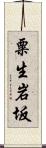 粟生岩坂 Scroll
