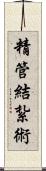 精管結紮術 Scroll