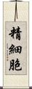 精細胞 Scroll