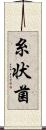糸状菌 Scroll