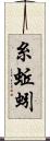 糸蚯蚓 Scroll