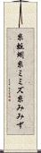 糸蚯蚓 Scroll