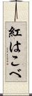 紅はこべ Scroll