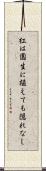 紅は園生に植えても隠れなし Scroll