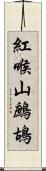 紅喉山鷓鴣 Scroll