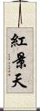 紅景天 Scroll