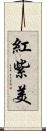 紅紫美 Scroll