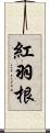 紅羽根 Scroll