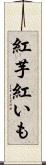 紅芋 Scroll