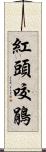 紅頭咬鵑 Scroll