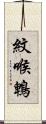 紋喉鵯 Scroll