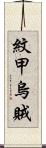 紋甲烏賊 Scroll