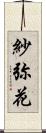 紗弥花 Scroll