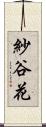 紗谷花 Scroll