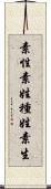 素性 Scroll