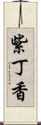 紫丁香 Scroll