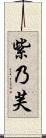 紫乃芙 Scroll