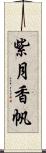 紫月香帆 Scroll