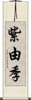 紫由季 Scroll