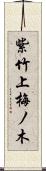 紫竹上梅ノ木 Scroll