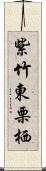 紫竹東栗栖 Scroll