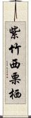 紫竹西栗栖 Scroll