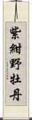 紫紺野牡丹 Scroll