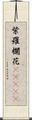 紫羅欄花(ateji) Scroll