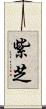 紫芝 Scroll
