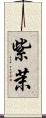 紫茉 Scroll