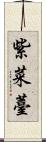 紫菜薹 Scroll