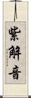 紫解音 Scroll