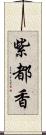 紫都香 Scroll