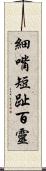 細嘴短趾百靈 Scroll