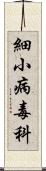 細小病毒科 Scroll