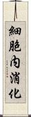 細胞内消化 Scroll