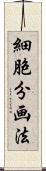 細胞分画法 Scroll