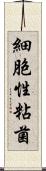 細胞性粘菌 Scroll