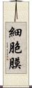 細胞膜 Scroll