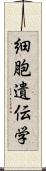 細胞遺伝学 Scroll