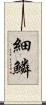 細鱗 Scroll