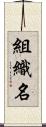 組織名 Scroll